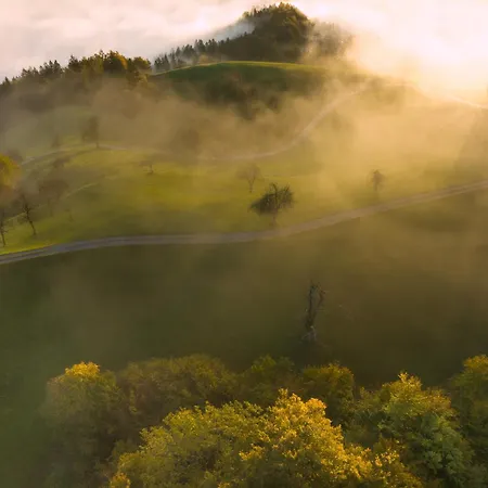 Apartma Saint Thomas