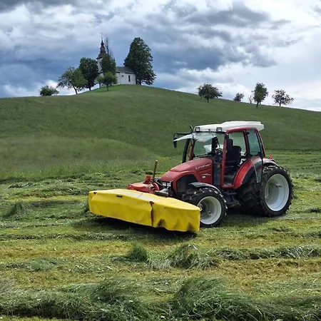 Apartma Saint Thomas Selca