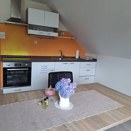 Apartment Apartma Saint Thomas *
