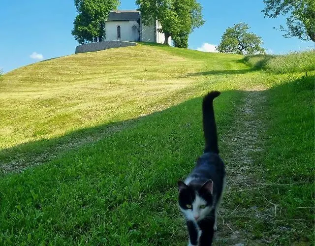 Apartma Saint Thomas *