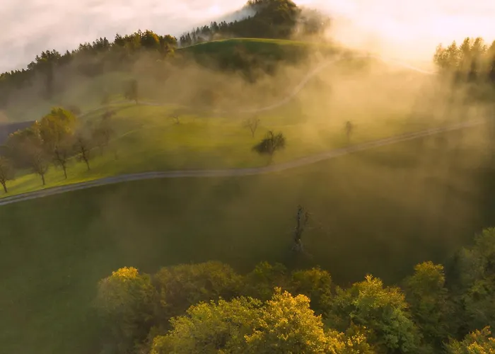 Apartma Saint Thomas