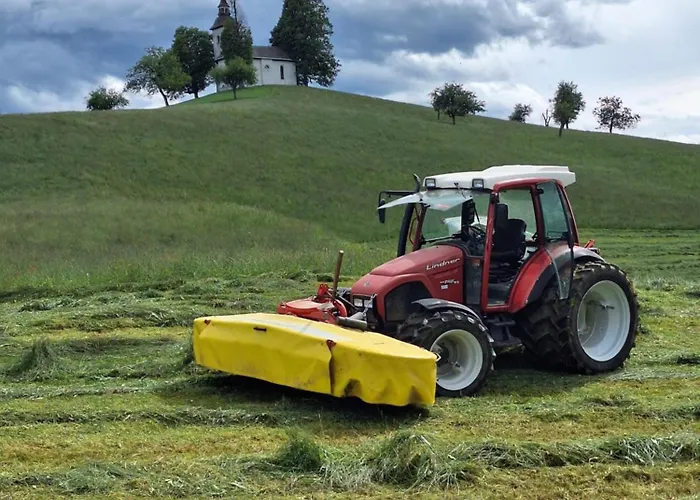 Apartma Saint Thomas Selca