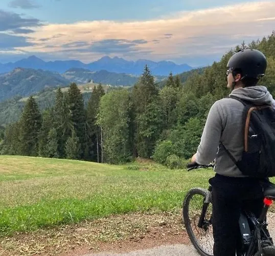 Apartma Saint Thomas Selca