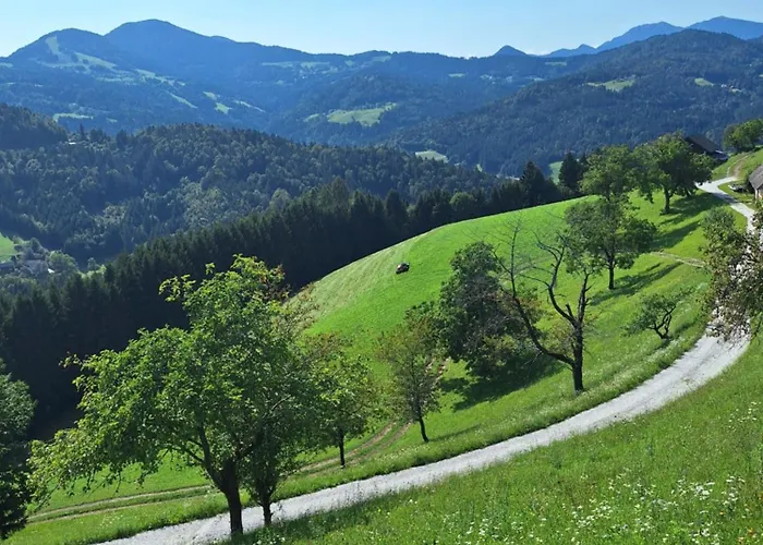 Apartma Saint Thomas *